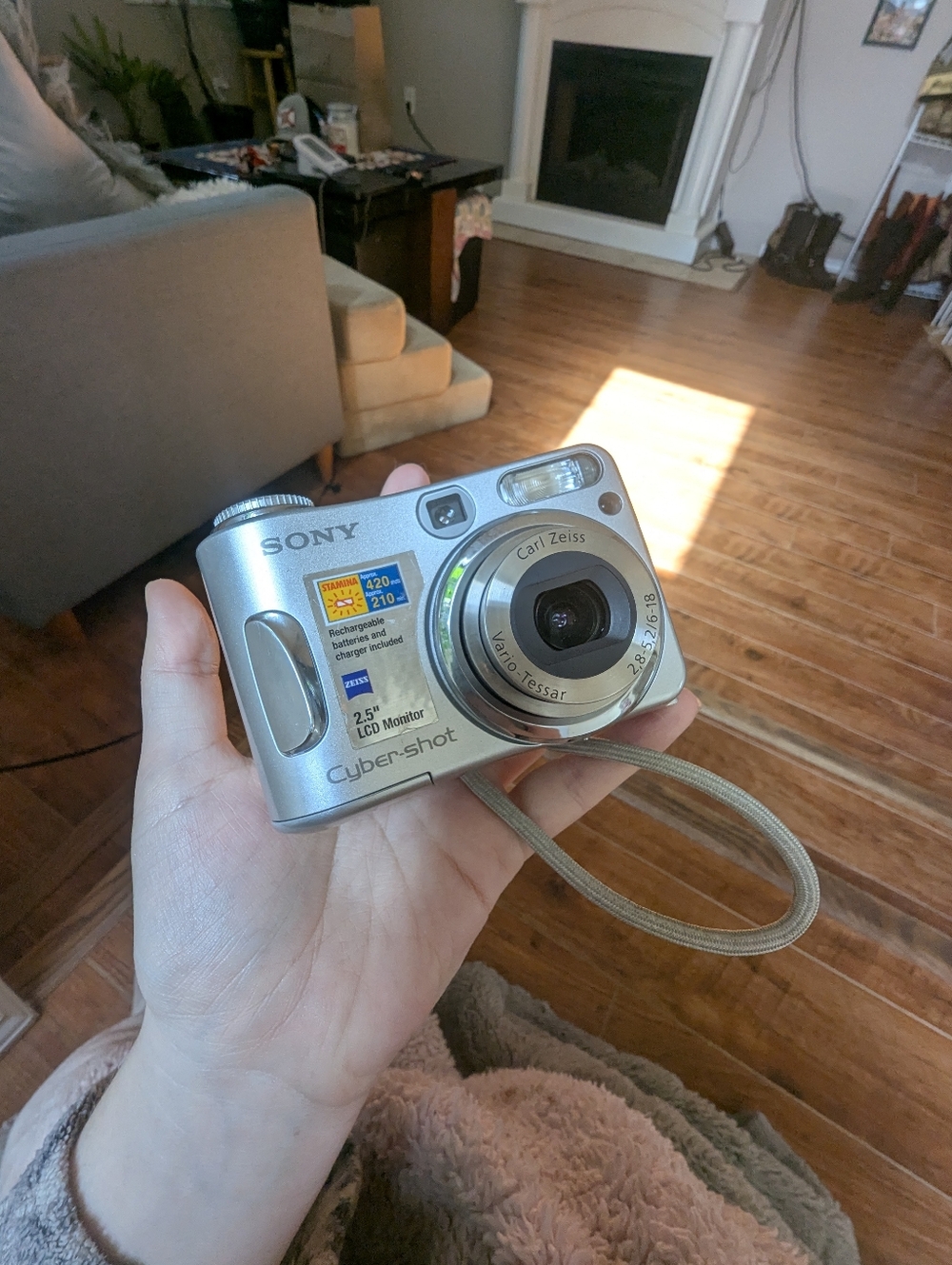 Sony Silver Cyber-shot Compact Digital Camera with Wrist Strap